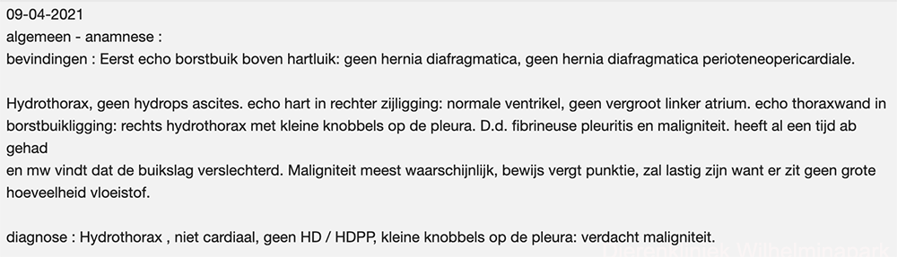 Echografisch verslag van IJsbeer